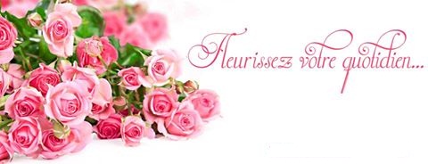 Papillon Vert Casablanca