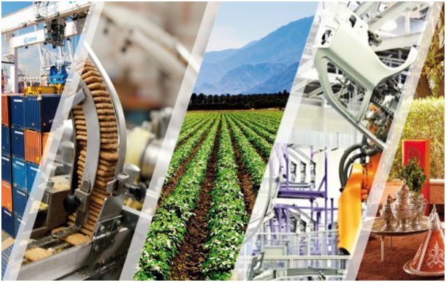 Un deuxième trimestre performant pour l’économie nationale: Le taux de croissance atteint 4,3 % à fin juin