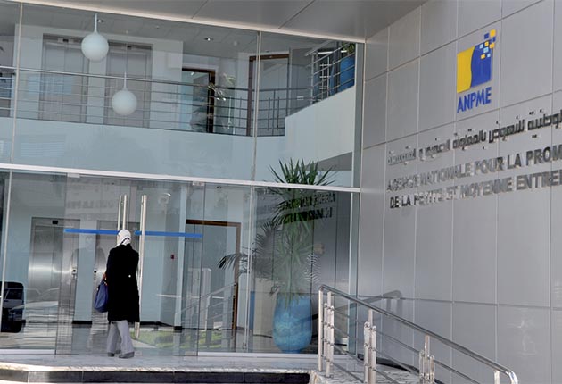 Agences publiques : Des défaillances en cascade