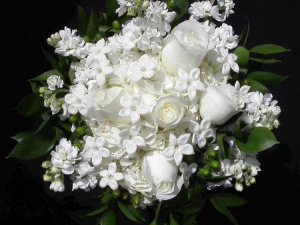 Jardin D'Eden Casablanca